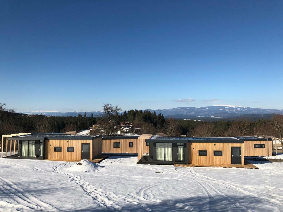 Chaletpark Petzen Otel Feistritz ob Bleiburg Dış mekan fotoğraf