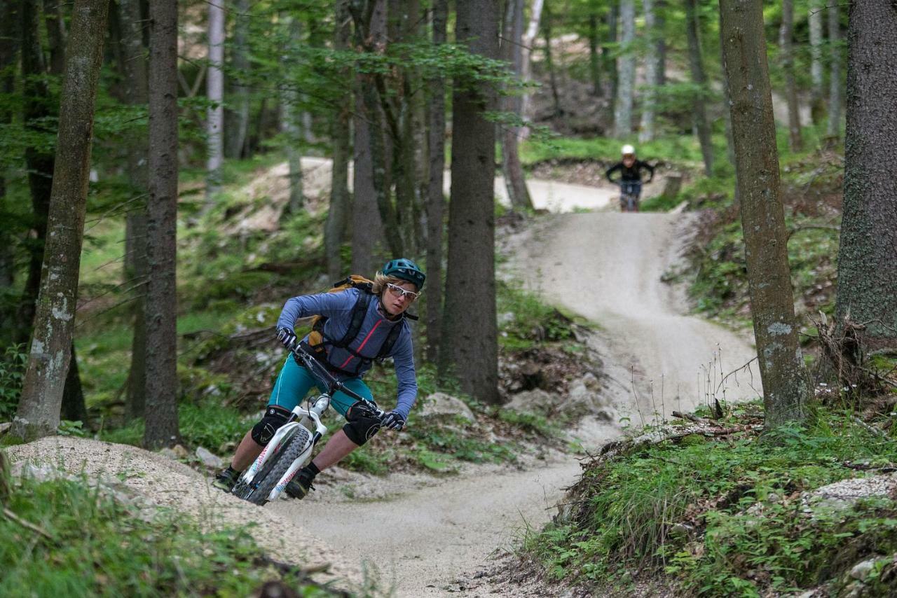 Chaletpark Petzen Otel Feistritz ob Bleiburg Dış mekan fotoğraf