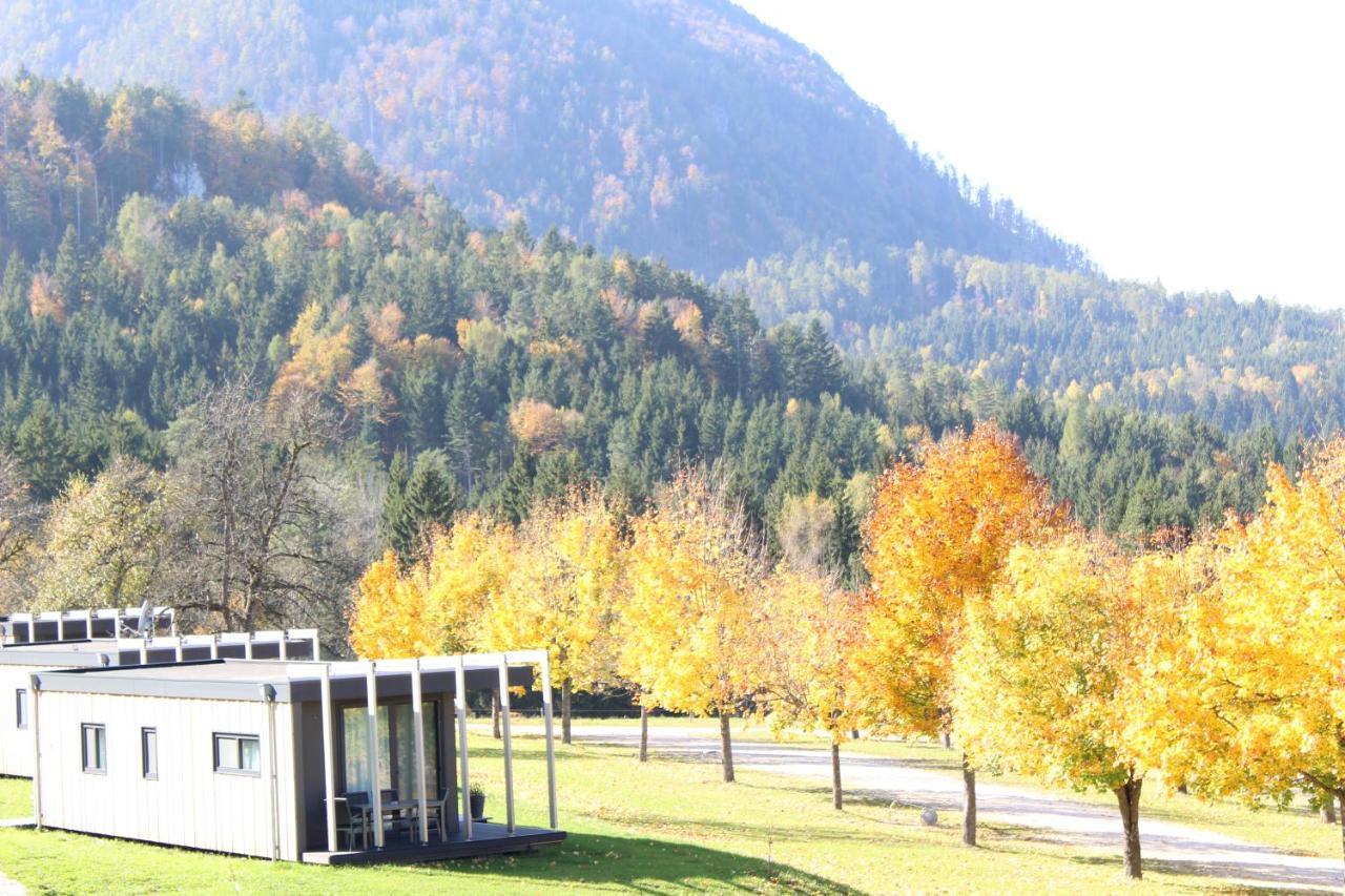 Chaletpark Petzen Otel Feistritz ob Bleiburg Dış mekan fotoğraf